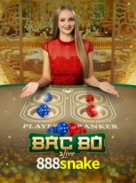 888SNAKE.COM